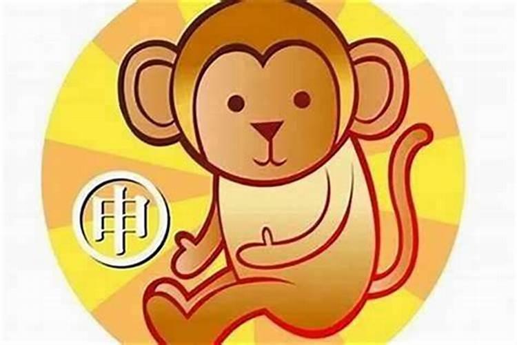 属猴几日的命运最好 生肖猴一生财运