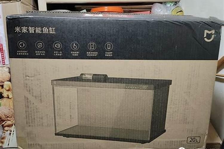 关于家庭昆虫 家在深圳