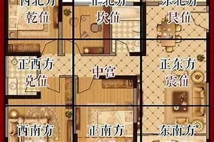 石菖蒲风水禁忌