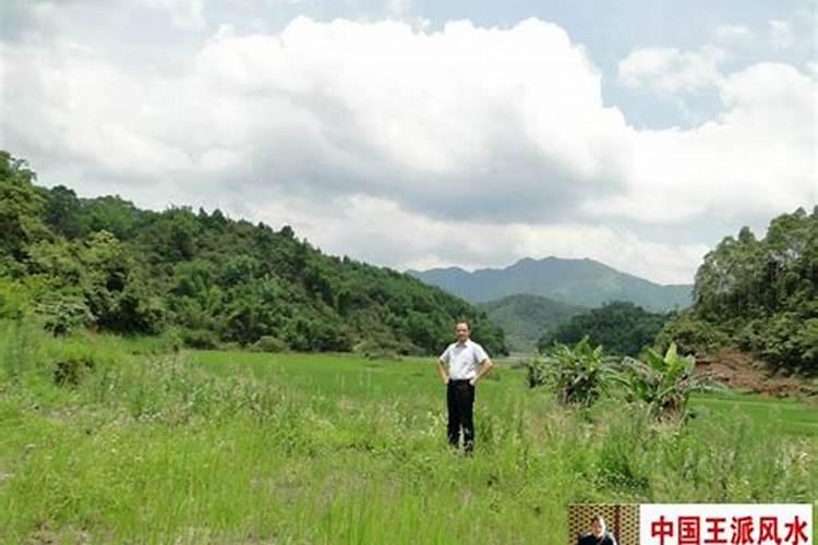 左宗棠祖坟风水故事,古代风水高人真实故事