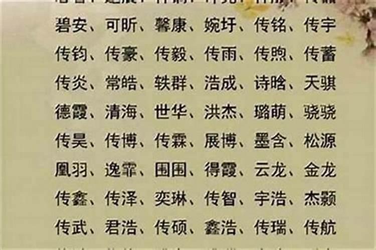关爱作文 800字及以上、