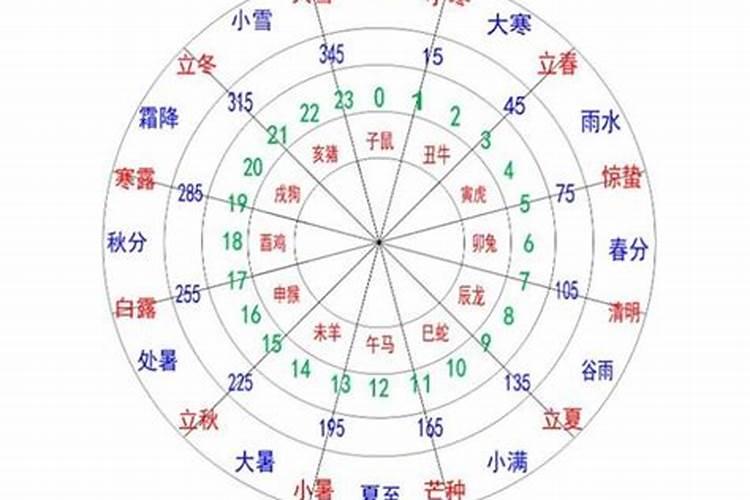 辰龙家里摆什么最旺财