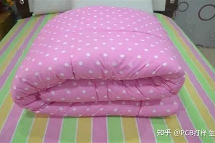 汪明荃从业经历