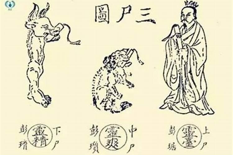 什么的道术？还有什么是茅山术？