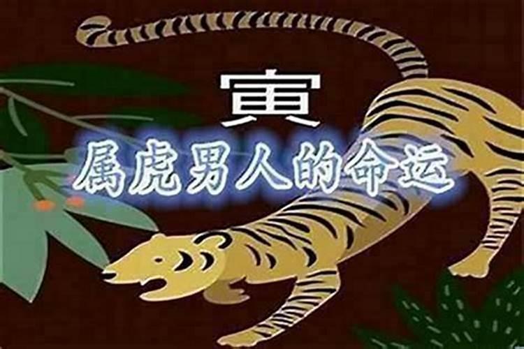98虎土命住几楼最旺