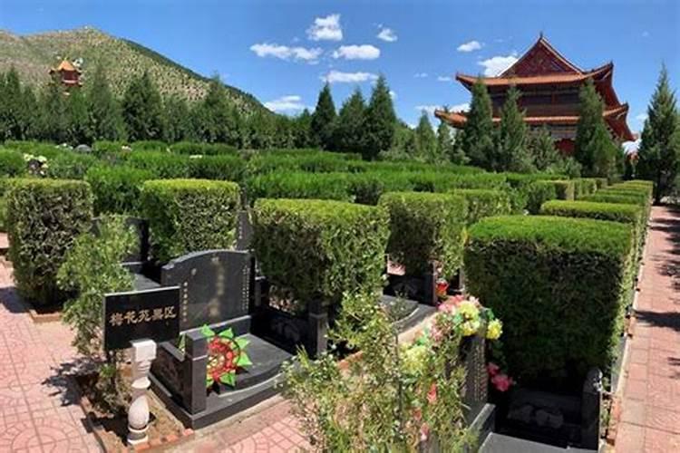 为什么墓地旁的房子好