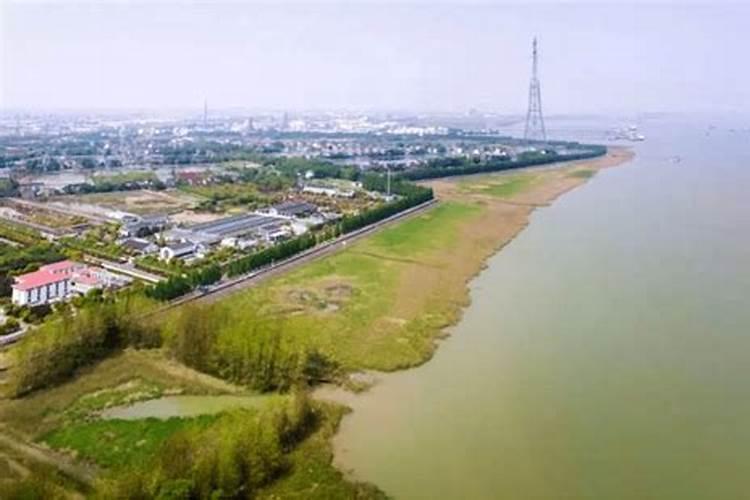 我家是农村,和邻居一墙之隔,邻居家院子里有一棵大树,正好罩着我家一棵...