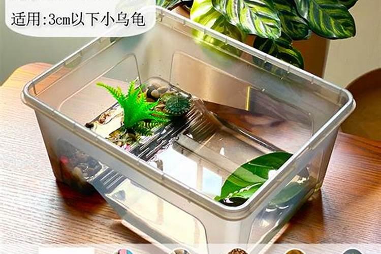 客厅沙发后面挂什么图案最好