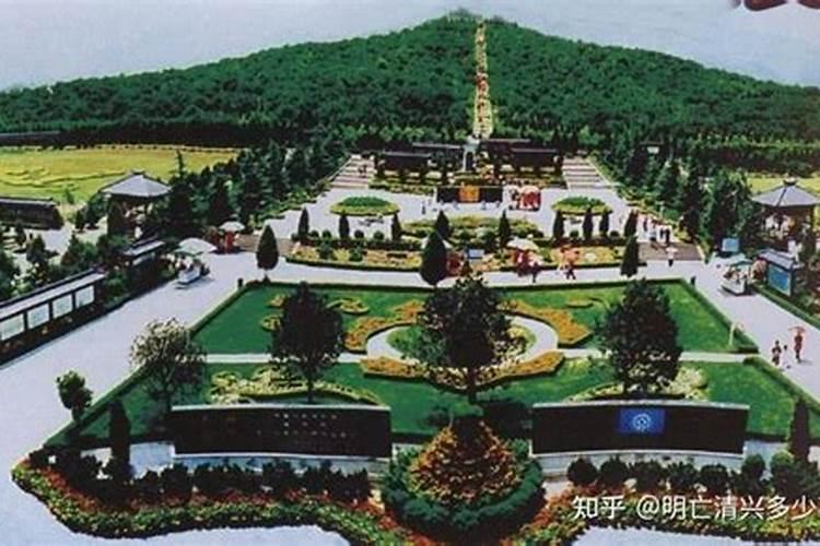 客厅风水大忌假花;客厅仿真花有什么讲究