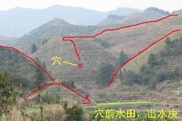 水缸放什么位置最旺