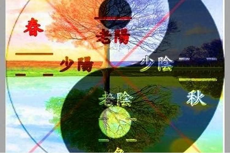 院子装修效果图4㎡8㎡小院这样装更唯美