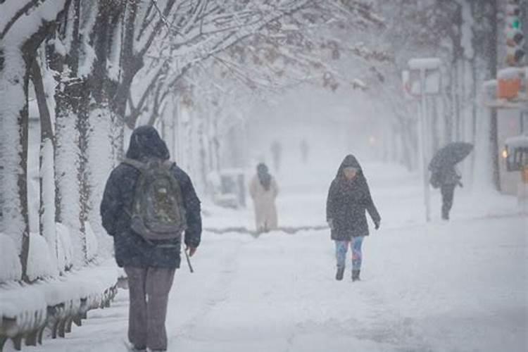 梦见下雪刮风有什么预兆？是什么意思？