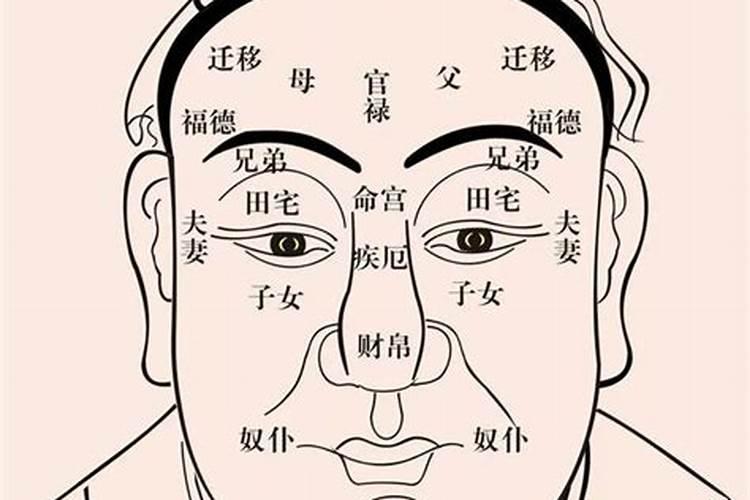 风水中面相是什么意思图解