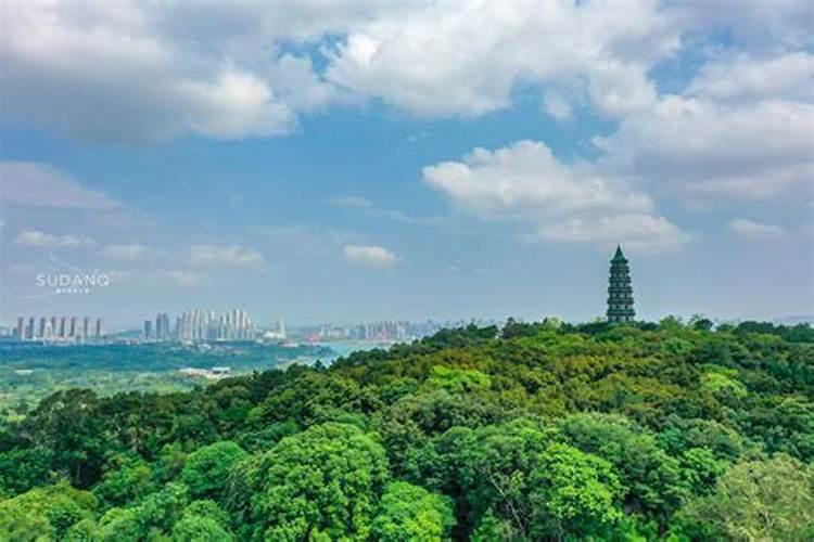成都青羊区有哪些值得一去的旅游景点？