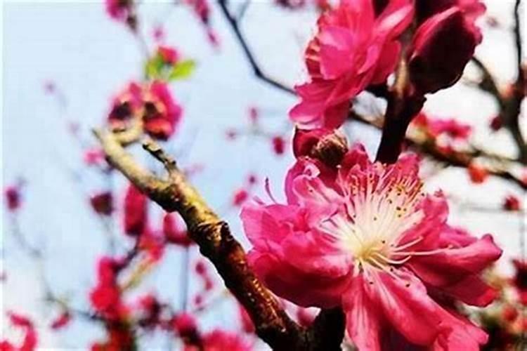 玄关桌上放什么下面放什么