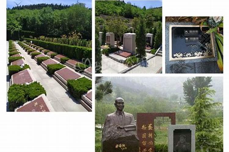女人梦见红蛇预示着什么意思