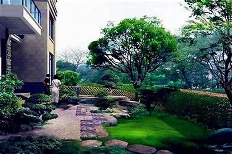 别墅住宅院子里种什么植物风水好