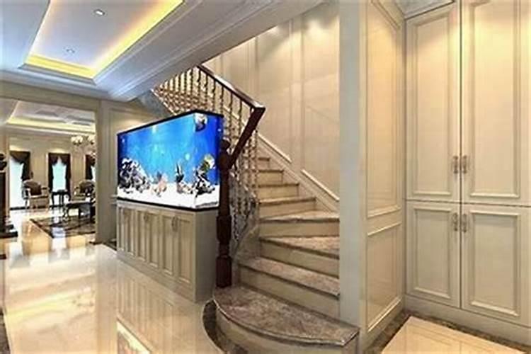 办公室摆放什么花好