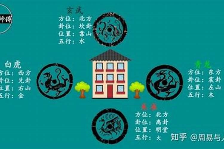 四象分别指哪四象？