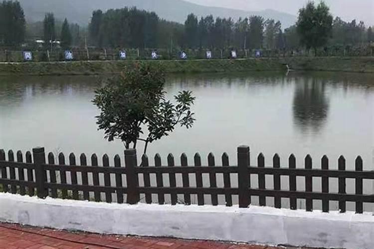 风水师类小说,,赌石鉴宝类小说。快速求助!!!