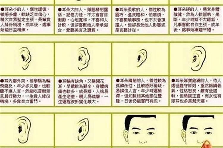 风水解说:如何从耳朵看运气