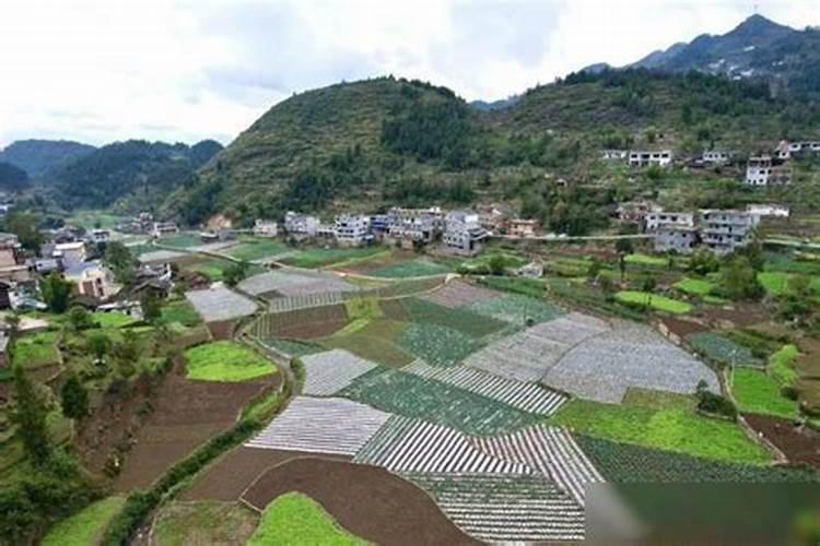 贵州省遵义市桐梓县风水镇可以土葬吗？