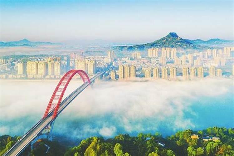 合江县凤鸣镇照天蜡蚁是风水宝地吗