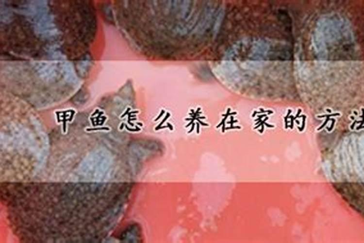 祖师殿地址在哪里？