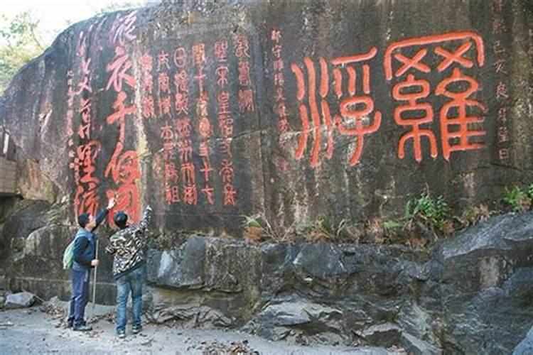 廖贤阳的个人履历