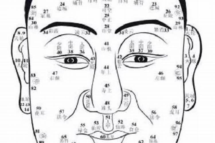 免费测字,什么属相表层老实巴交实际上却很滥情
