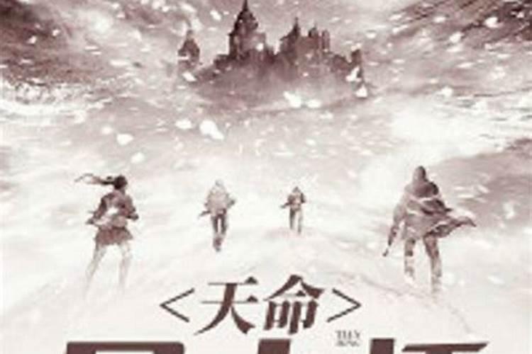 天命风水录一共是多少集啊