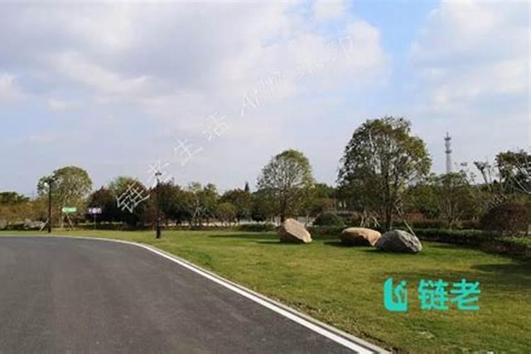 绥化颐和苑楼盘在哪？