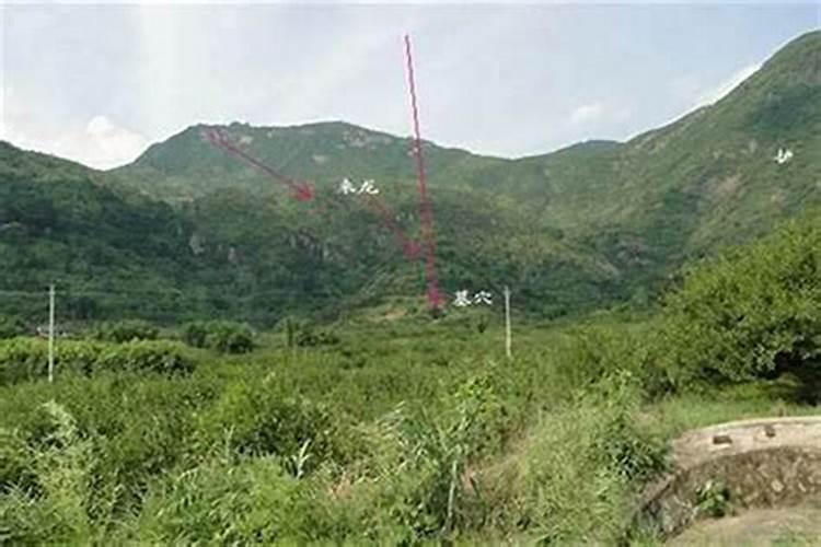 给校长送礼可以去学校吗