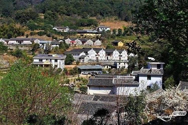 四川开江特产:涌兴卢板鸭