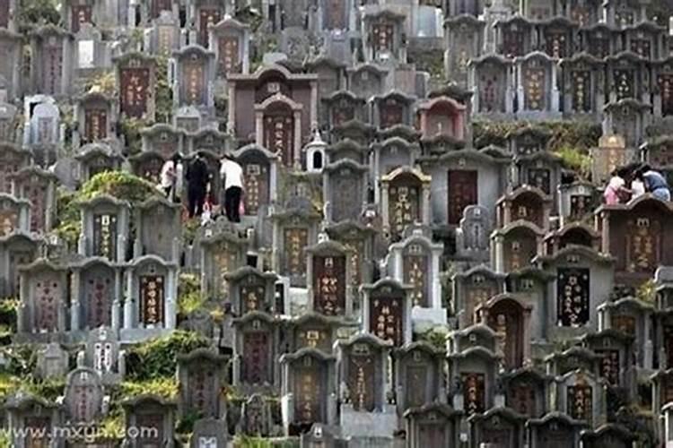 梦见风水墓地的预兆