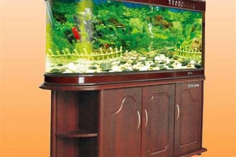 能旺财的风水物品摆放风水