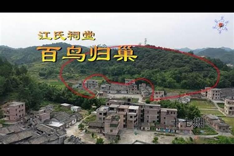 大门口为什么不能放红色花大门口两边种什么花好