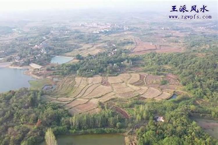 巢湖山村算命的地方在哪