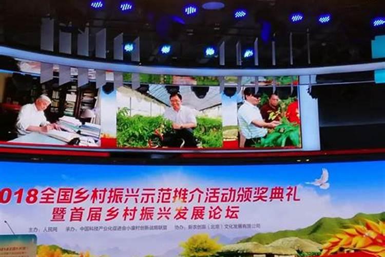 阜阳的文化背景啊？