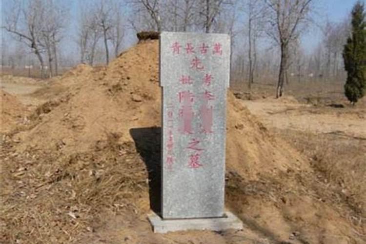 改善墓地风水要在坟墓上种什么树？