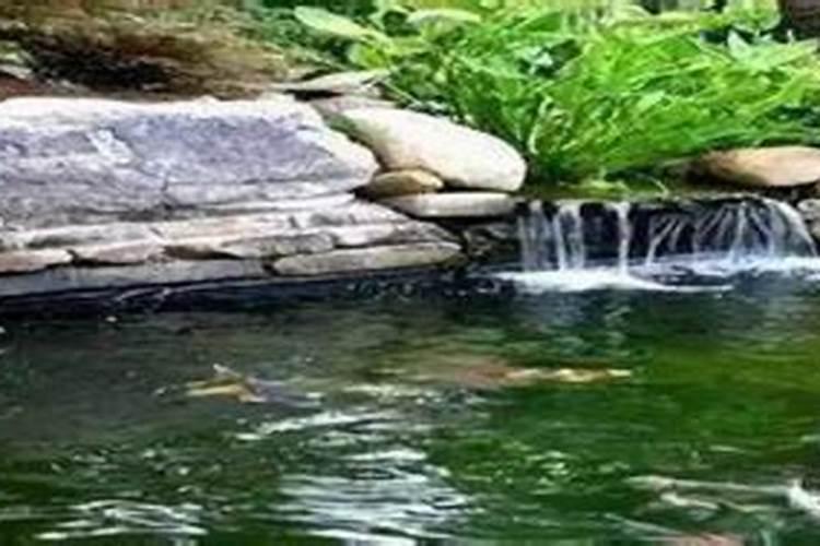 我想在院子里挖个水池,风水如何？