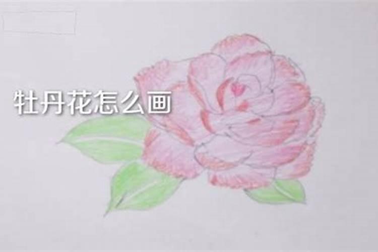 家居风水牡丹应该怎么摆放？