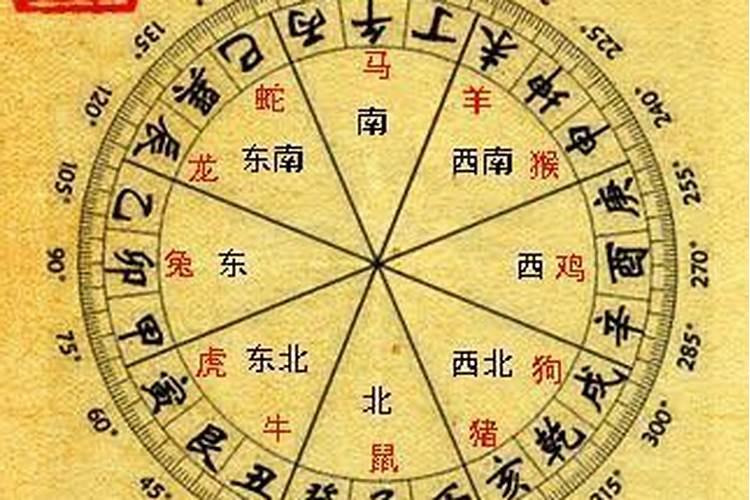 93年的女的属鸡的命运怎么样