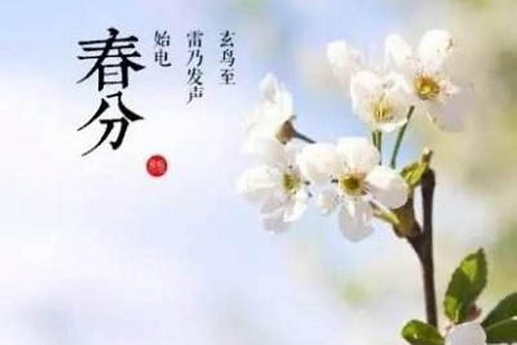 红枫能在室内养吗