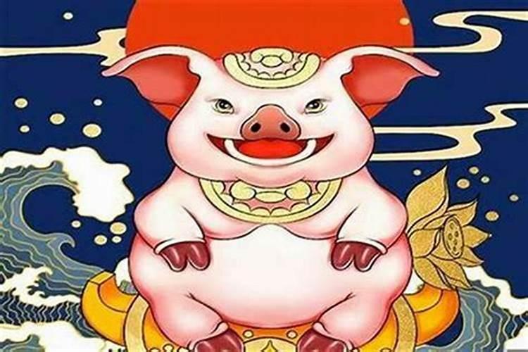 家里养橡皮树风水好吗？
