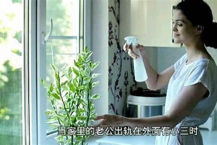 从阴宅祖墓风水怎么分房才合理