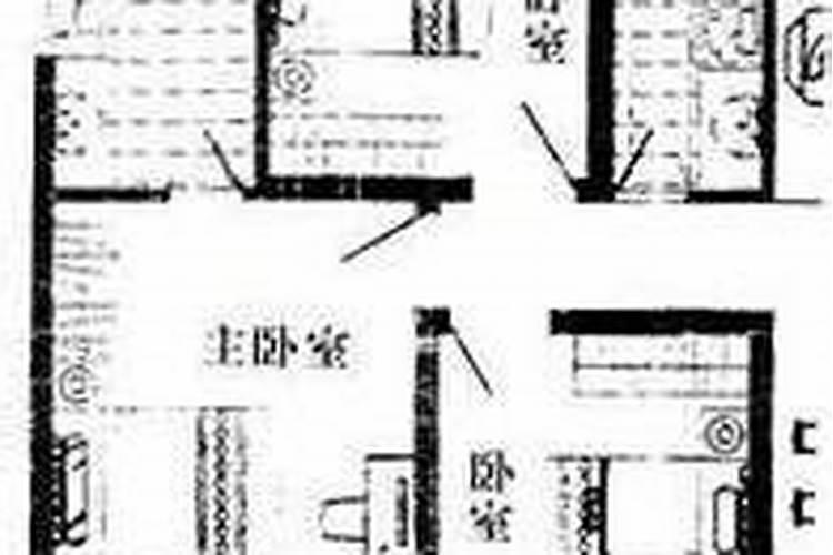 院子西北角种什么树风水好,适合庭院西北角栽的树