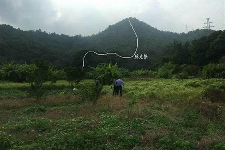 公务员能去寺庙里吗