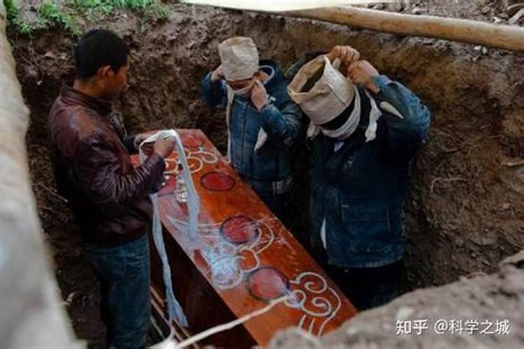 墓地埋什么最旺财