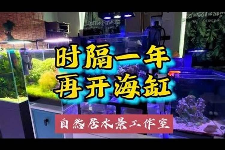 五大办公室养鱼的风水讲究